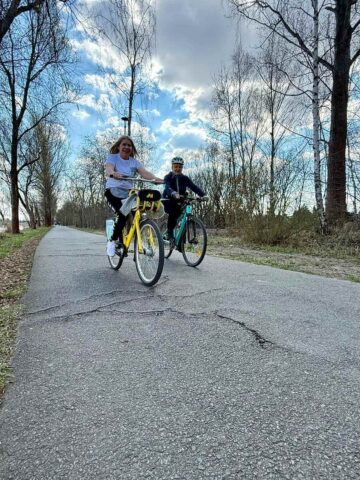 Dąbrowa Górnicza. Pogoria III. Ścieżka rowerowo-piesza. Uszkodzenia spowodowane korzeniami drzew. Dąbrowa Górnicza. Pogoria III. Ścieżka rowerowo-piesza. Uszkodzenia spowodowane korzeniami drzew.