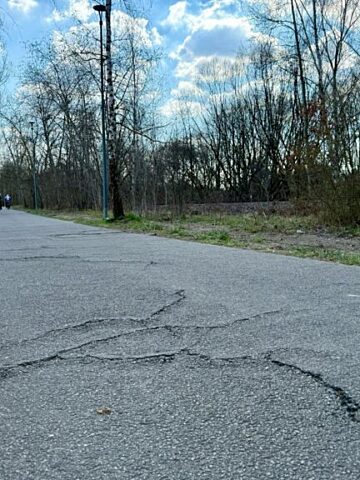 Dąbrowa Górnicza. Pogoria III. Ścieżka rowerowo-piesza. Uszkodzenia spowodowane korzeniami drzew. Dąbrowa Górnicza. Pogoria III. Ścieżka rowerowo-piesza. Uszkodzenia spowodowane korzeniami drzew.