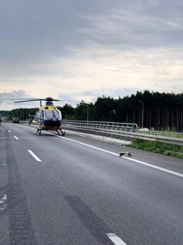 Pyrzowice, Droga ekspresowa S1. Wypadek motocyklisty. 8 czerwca 2025. Pyrzowice, Droga ekspresowa S1. Wypadek motocyklisty. 8 czerwca 2025.