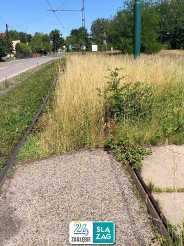 Sosnowiec-Kazimierz. Pętla tramwajowa. 5 lipca 2025. Sosnowiec-Kazimierz. Pętla tramwajowa. 5 lipca 2025.