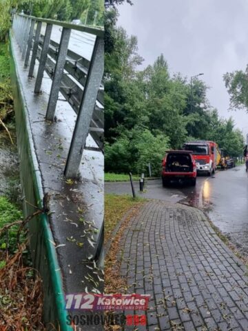 Sosnowiec. Usuwanie zalegających w korycie Brynicy drzew na ulicy Jana III Sobieskiego. 28 lipca 2025. Sosnowiec. Usuwanie zalegających w korycie Brynicy drzew na ulicy Jana III Sobieskiego. 28 lipca 2025.