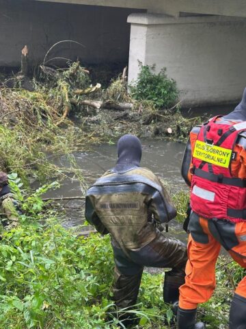 Sosnowiec. Usuwanie zalegających w korycie Brynicy drzew na ulicy Jana III Sobieskiego. 28 lipca 2025. Sosnowiec. Usuwanie zalegających w korycie Brynicy drzew na ulicy Jana III Sobieskiego. 28 lipca 2025.
