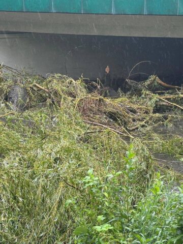 Sosnowiec. Usuwanie zalegających w korycie Brynicy drzew na ulicy Jana III Sobieskiego. 28 lipca 2025. Sosnowiec. Usuwanie zalegających w korycie Brynicy drzew na ulicy Jana III Sobieskiego. 28 lipca 2025.