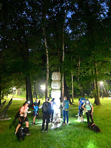 Dogtrekking park slaski 27 Dogtrekking park slaski 27