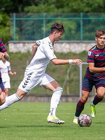 Mlode zaglebie mloda pogon 2 Mlode zaglebie mloda pogon 2