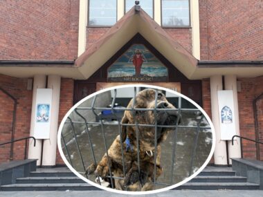 Będzin-Grodziec. Charytatywny koncert kolęd na fundacje «Karmimy Psiaki». 1 lutego 2026. Będzin-Grodziec. Charytatywny koncert kolęd na fundacje «Karmimy Psiaki». 1 lutego 2026.