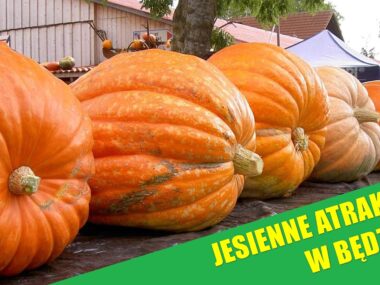 Będzin. Jesienne atrakcje. Będzin. Jesienne atrakcje.