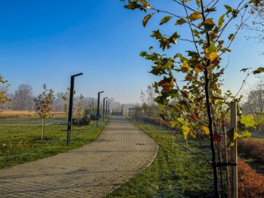 Będzin. Park przy miejskiej plaży. Listopad 2025. Będzin. Park przy miejskiej plaży. Listopad 2025.