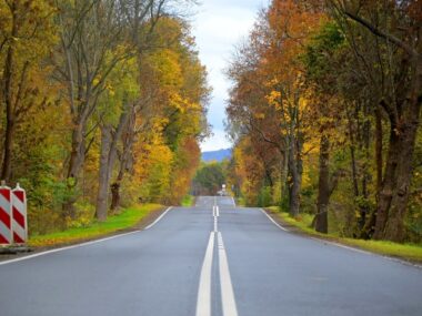 Dąbrowa Górnicza. Droga wojewódzka nr 790 pod koniec remontu. Listopad 2025. Dąbrowa Górnicza. Droga wojewódzka nr 790 pod koniec remontu. Listopad 2025.