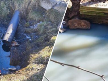 Czy śmierdzące ścieki w Strzemieszycach pochodzą z ubojni? Dąbrowa Górnicza-Strzemieszyce. Odpływy do potoku Rakówka. Marzec 2026