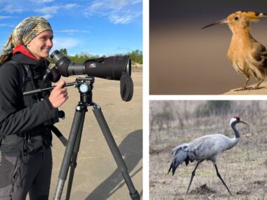 Gdzie chodzić „na ptaki” w Zagłębiu Dąbrowskim? Orintolog