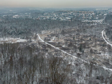 Sosnowiec-Milowice. Park Tysiąclecia zimą. Sosnowiec-Milowice. Park Tysiąclecia zimą.