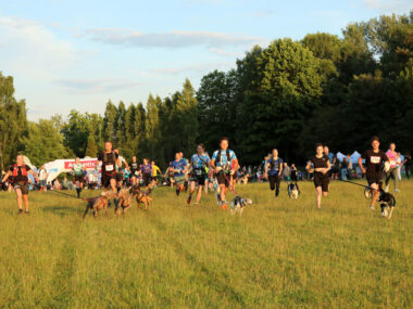 Ponad 300 osób z psami w nocnym Dogtrekkingu w Parku Śląskim Dogtrekking park slaski 14