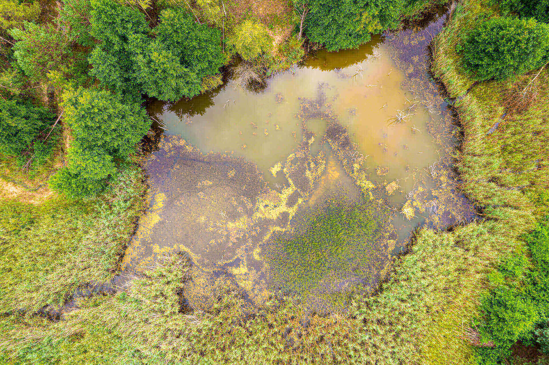 Zbiornik Kuźnica Warężyńska (potocznie znany jako Pogoria IV)