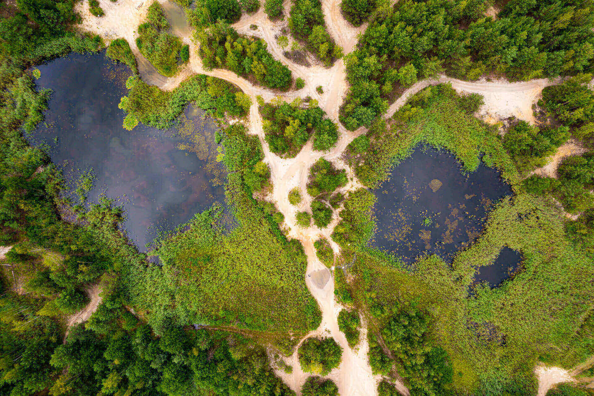 Zbiornik Kuźnica Warężyńska (potocznie znany jako Pogoria IV)