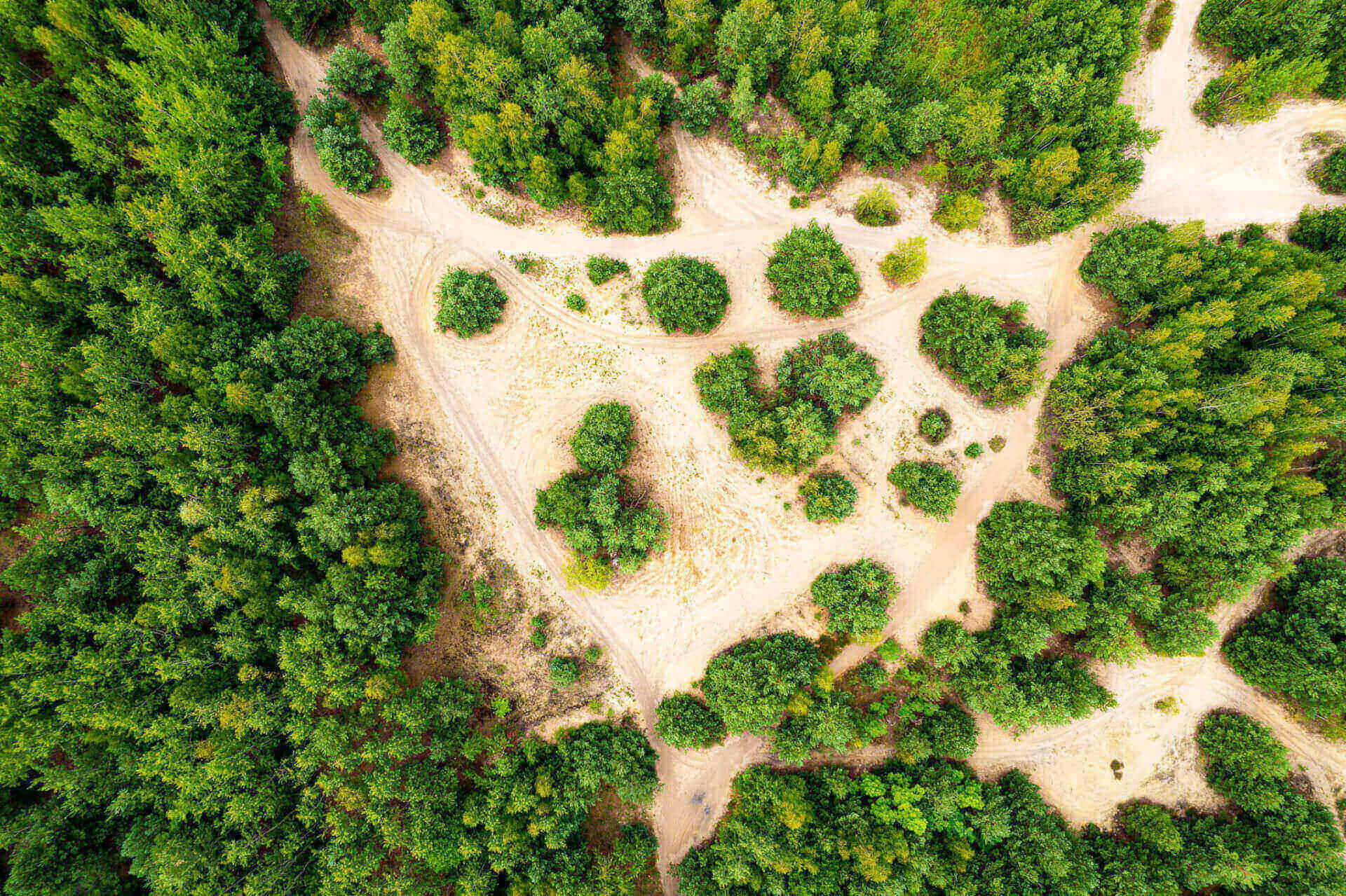 Zbiornik Kuźnica Warężyńska (potocznie znany jako Pogoria IV)