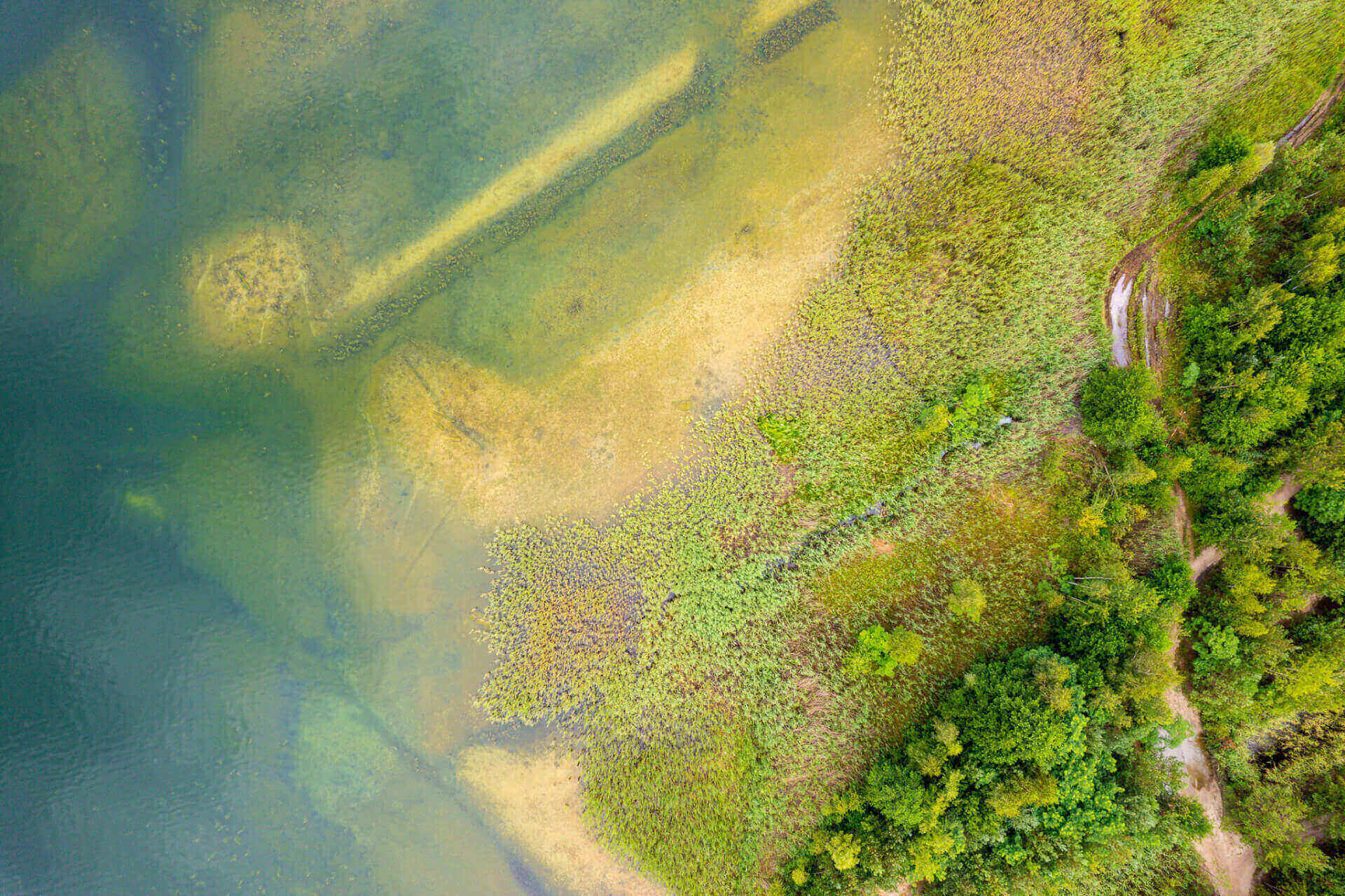 Zbiornik Kuźnica Warężyńska (potocznie znany jako Pogoria IV)